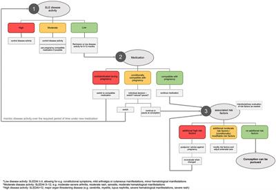 Pregnancy planning in lupus and APS patients